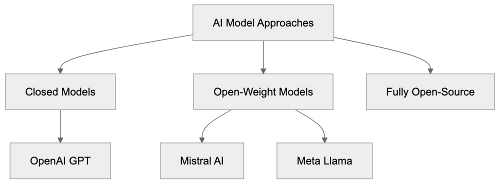Understanding Open-Weight AI Models Diagram