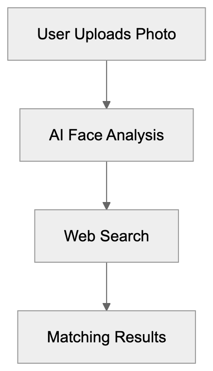 Understanding PimEyes Diagram